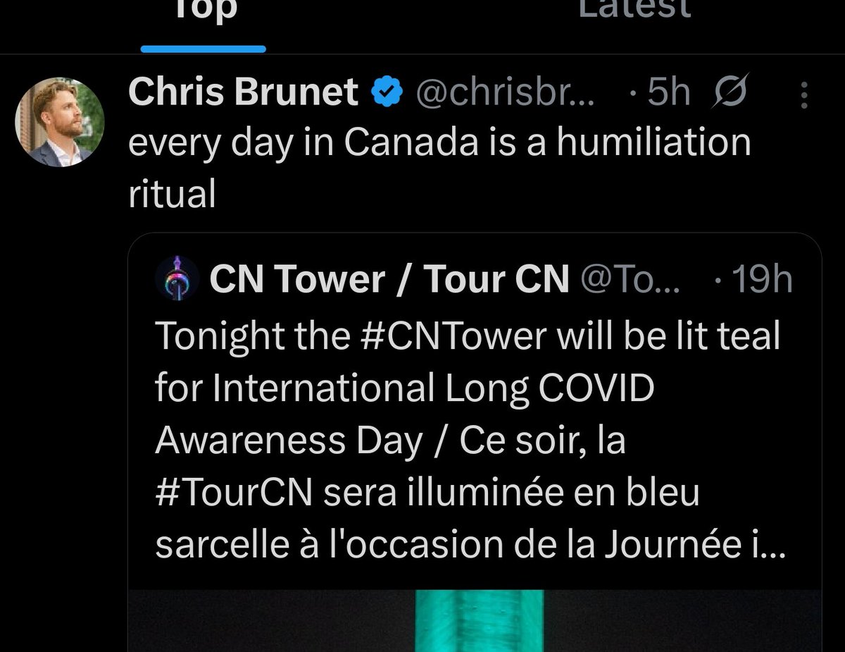 tern tweet media