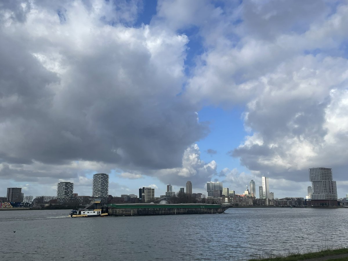 Marjolijn vd Assem tweet media