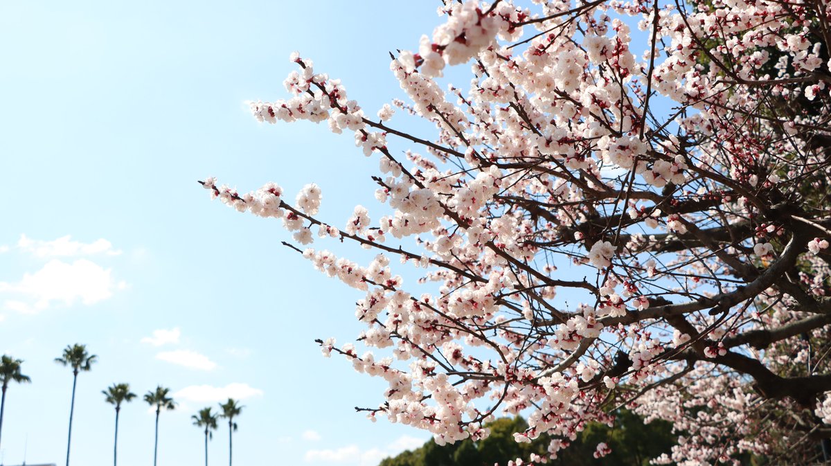 長居植物園 tweet media