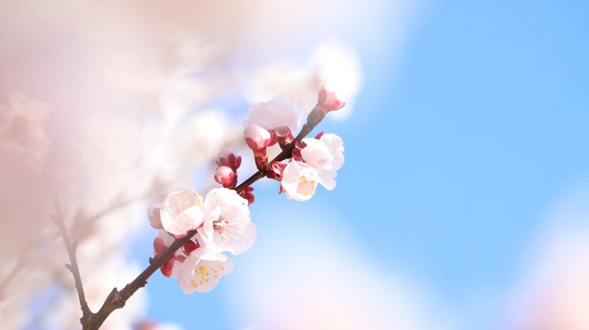 長居植物園 tweet media