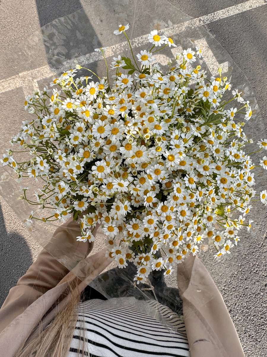Bloomify tweet media