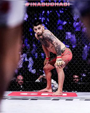 Fight Digitale tweet media