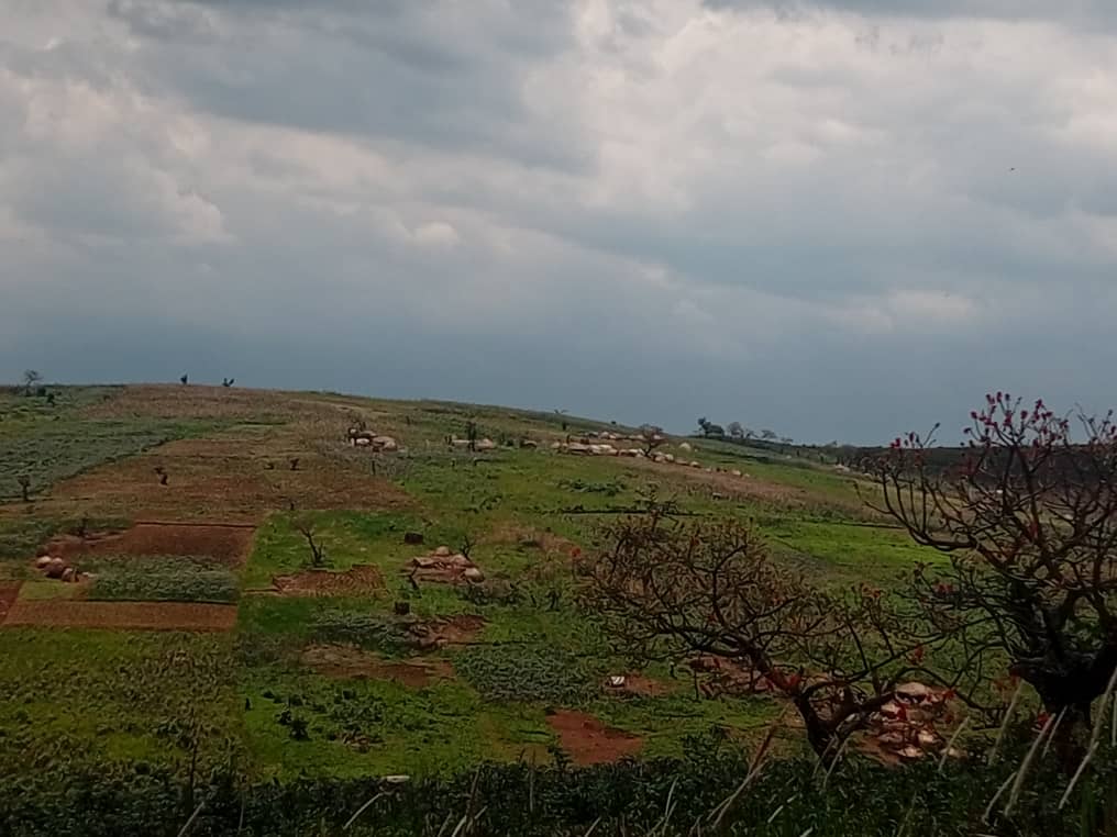 ITURI INFOS 22 tweet media