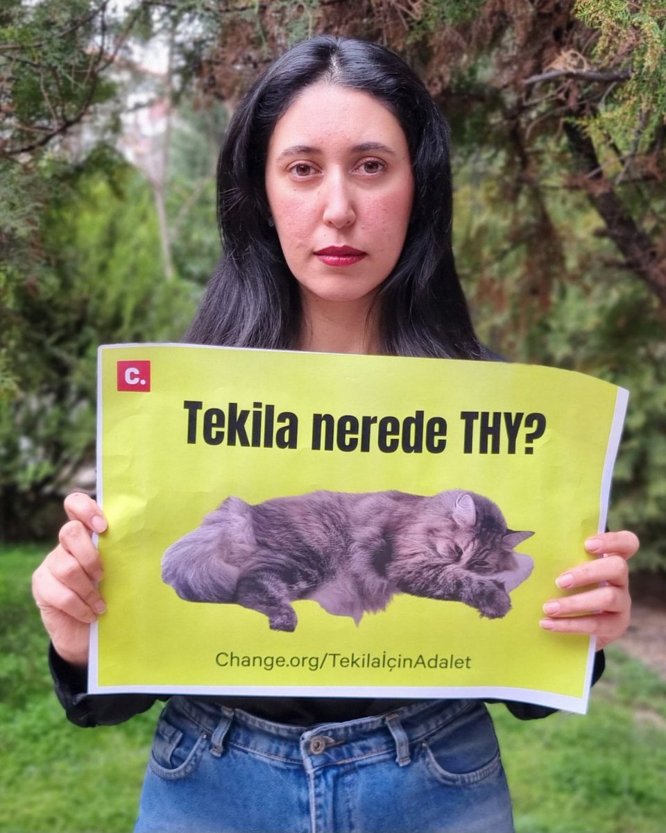 Change.org Türkiye tweet media