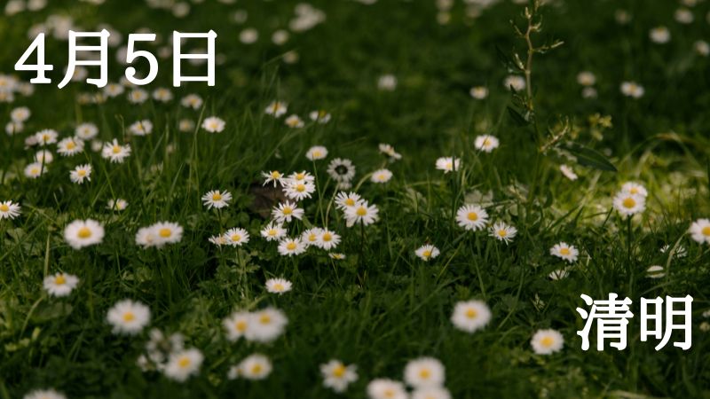 SOLARITA tweet media