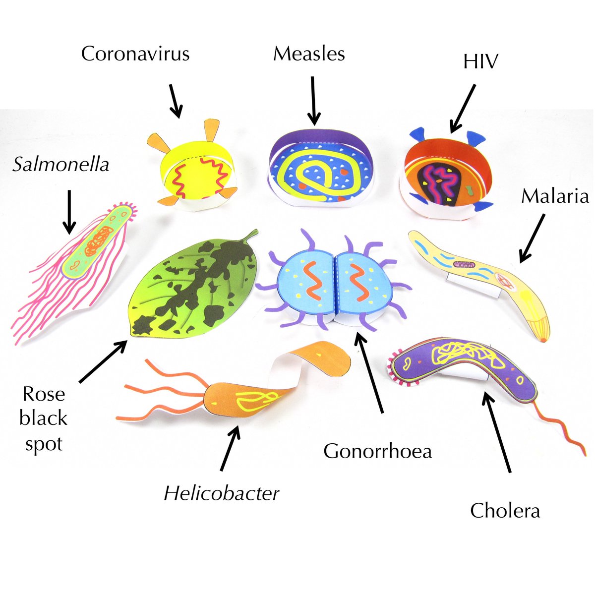 Origami Organelles tweet media