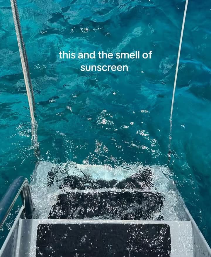 Novelle art. tweet media