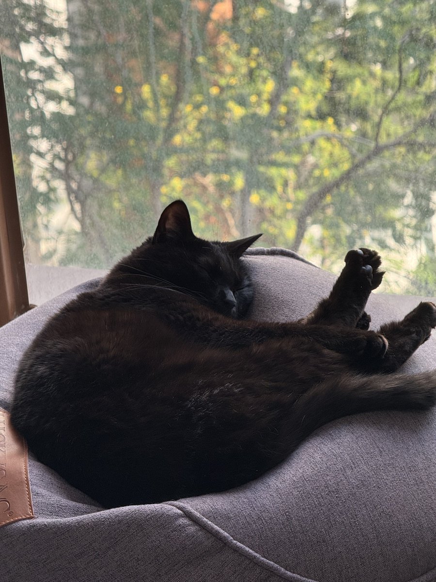 慕慕慕🚗💨➡️WFF tweet media