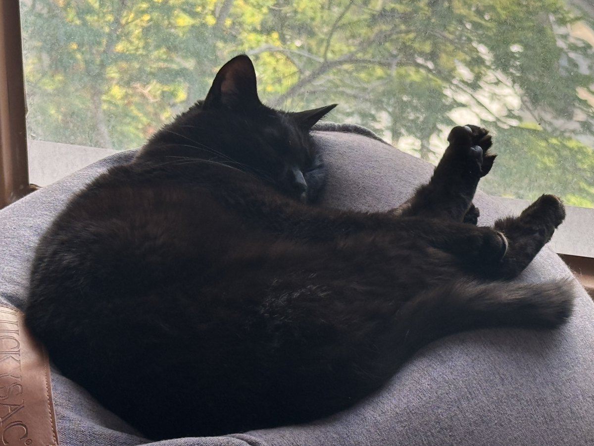 慕慕慕🚗💨➡️WFF tweet media