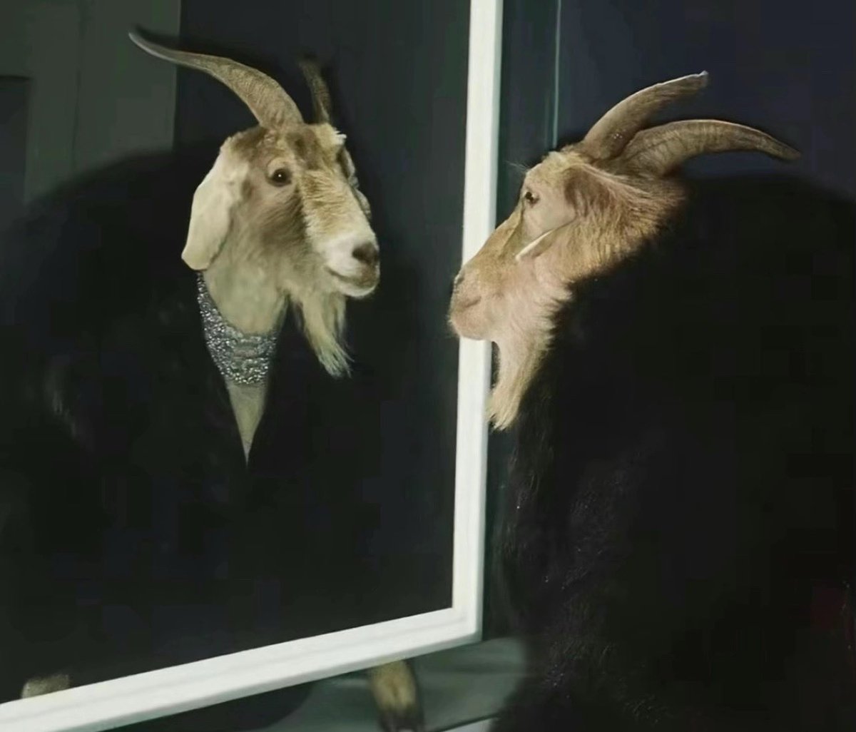 Strange Jaymes tweet media