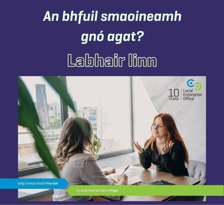 LEO Fingal tweet media