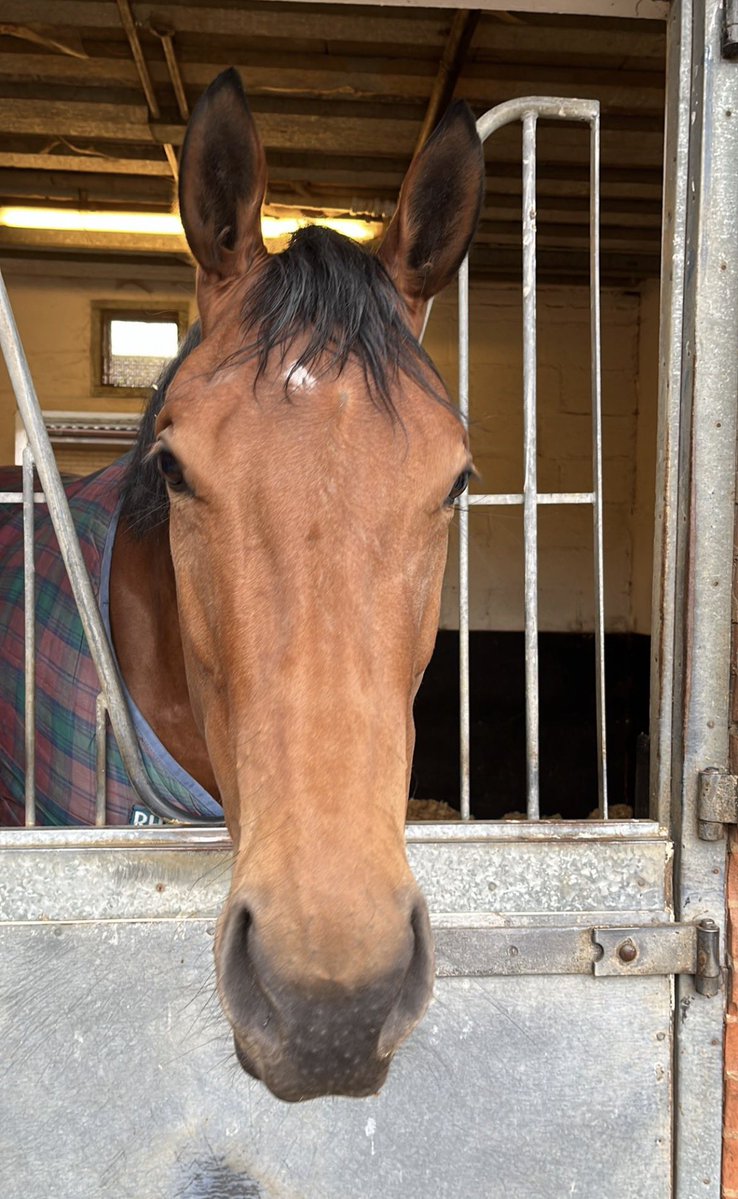 Tim (still totally unremarkable) tweet media