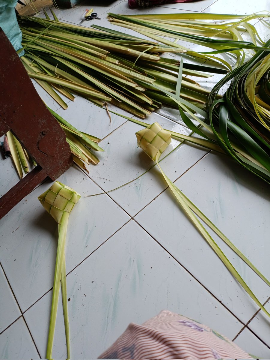 hana camelia tweet media