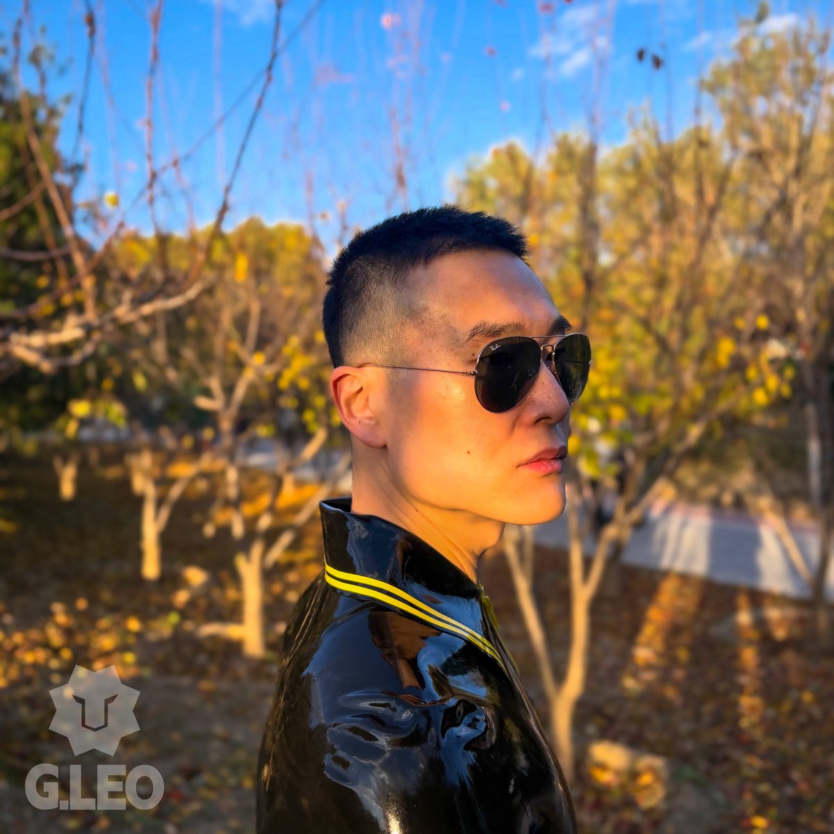 G.LEO Latex tweet media