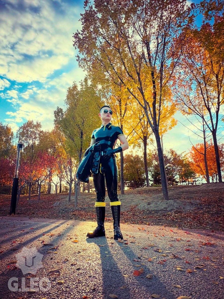 G.LEO Latex tweet media