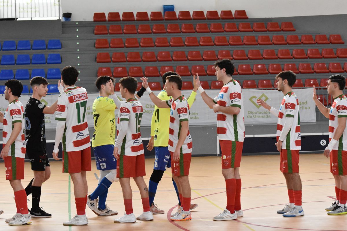 Granada POLIDEPORTIVA tweet media