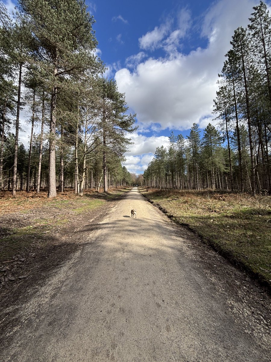 Pix 🎨 tweet media