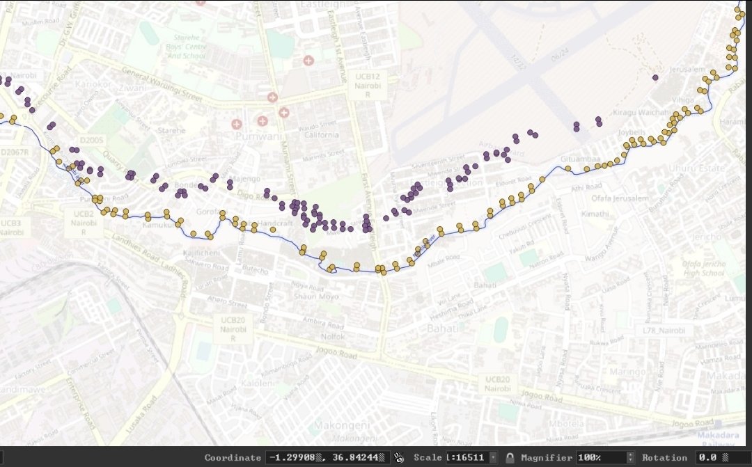 Abyssinian Carto tweet media