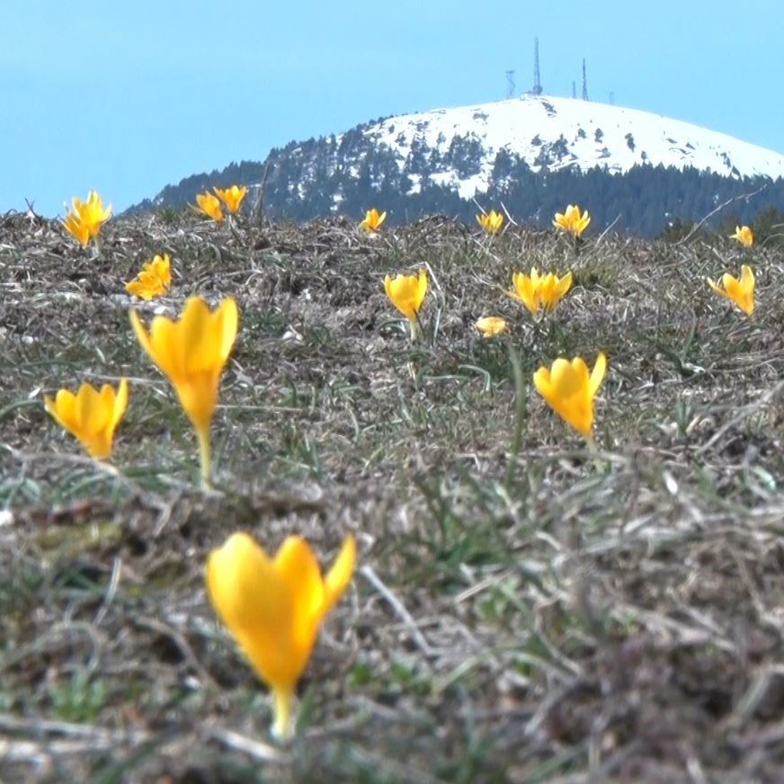 Pusholder tweet media