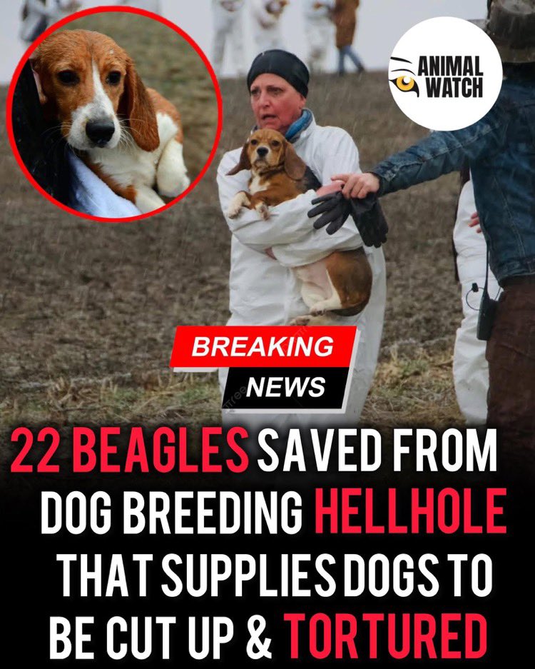 PROTECT ALL WILDLIFE tweet media