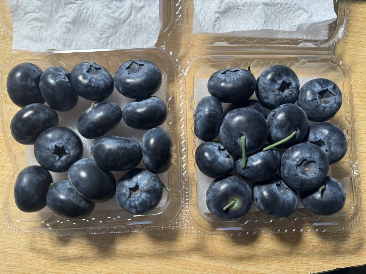 翘臀排在奈子前面 tweet media