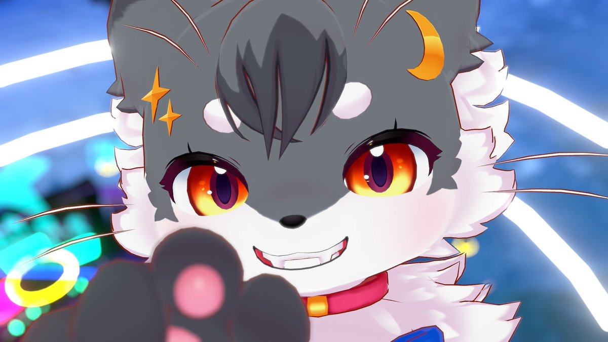 こねこのるぅ@旅・食・遊びのアイドルニャンコ▶Vketアンバサダー二期生✨👑🌙 tweet media