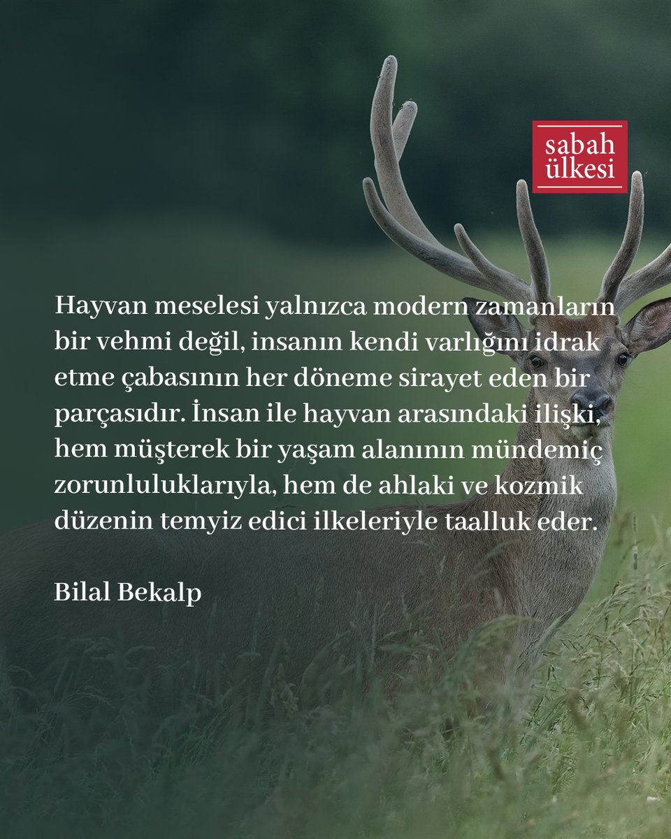 Sabah Ülkesi tweet media