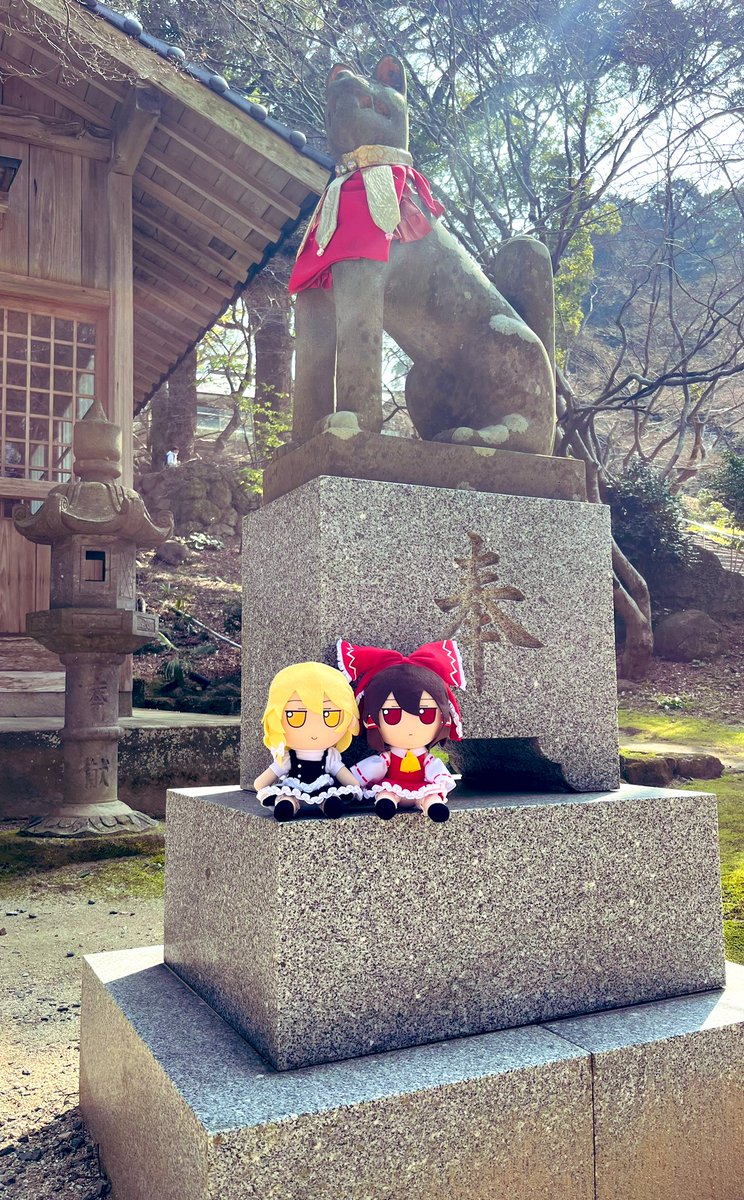 ねんぷる tweet media