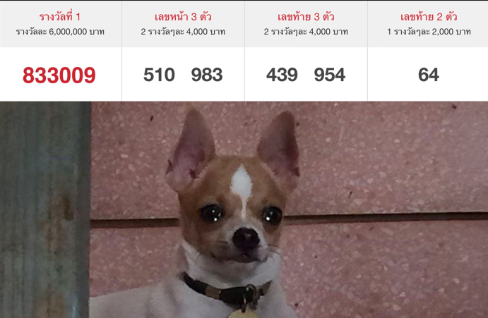 รับฟรี50 tweet media