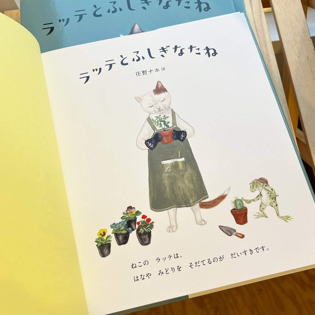 necoya books tweet media