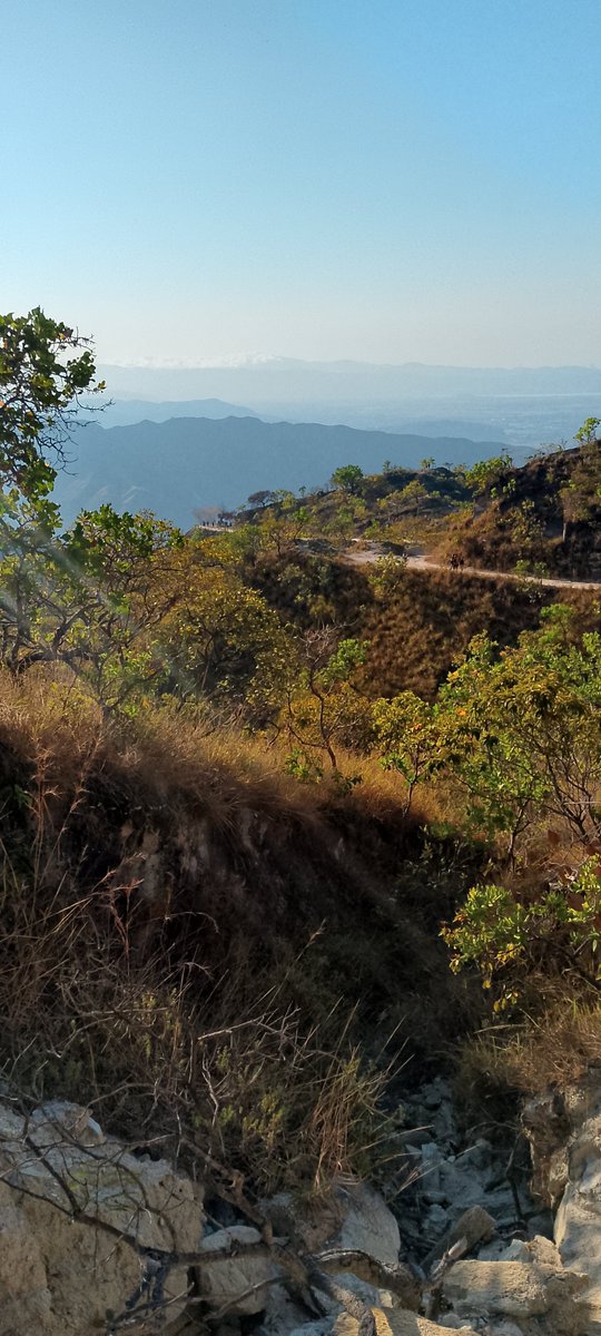 Raúl Jiménez 🇻🇪 tweet media