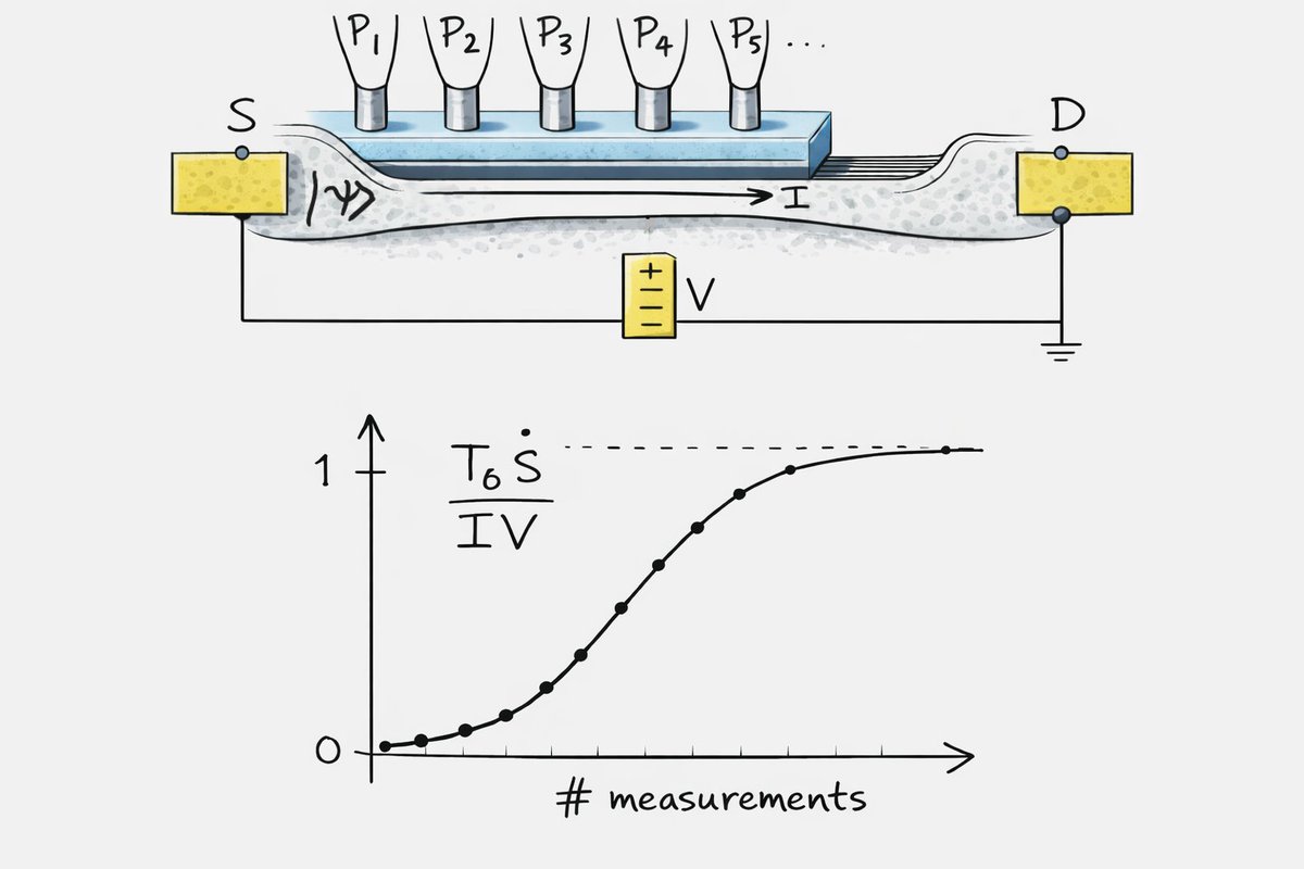 Entropy MDPI tweet media