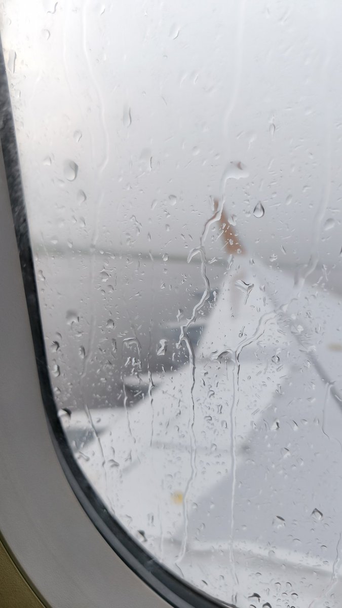 Orion✨ tweet media