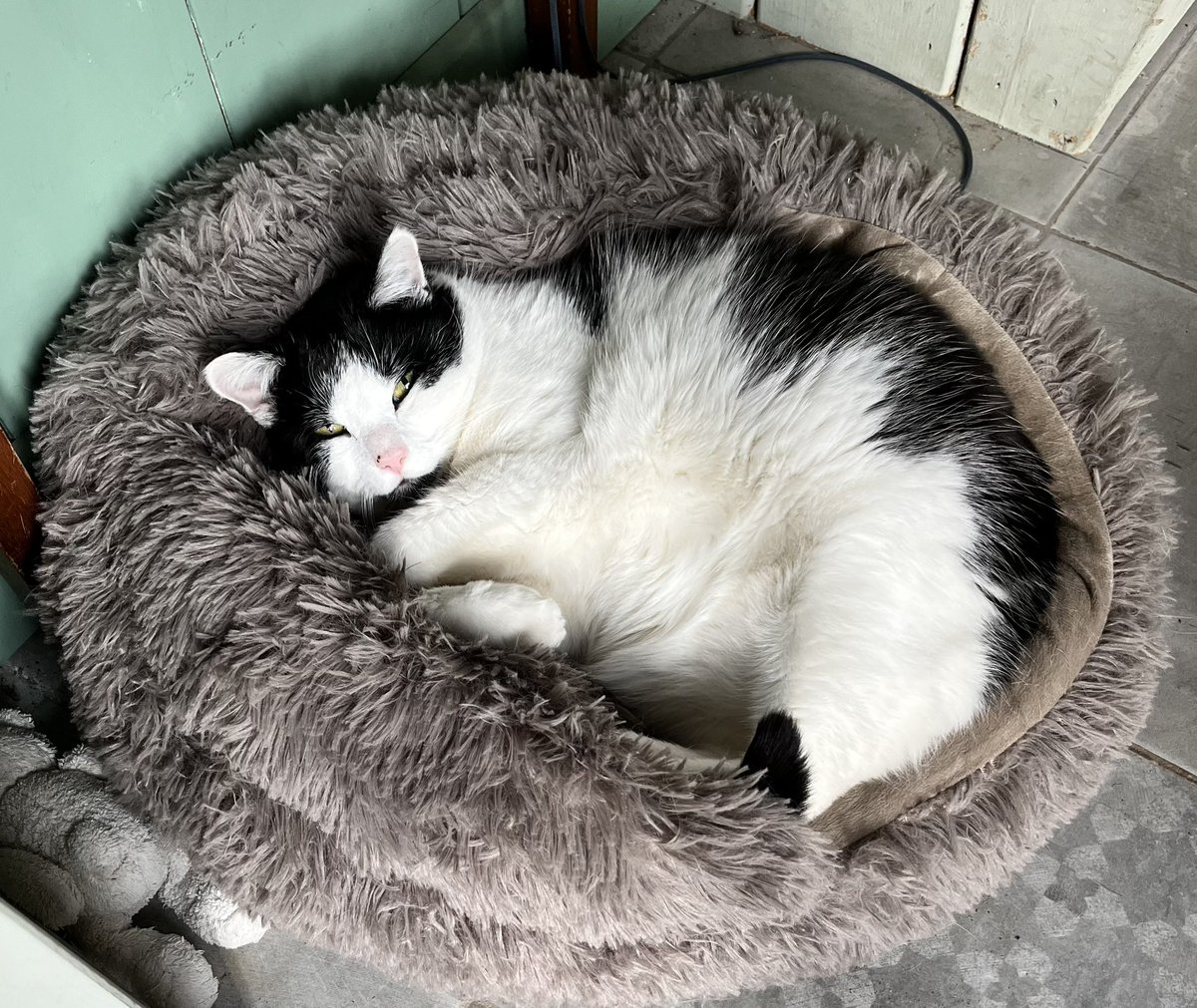 Anne Vellinga tweet media