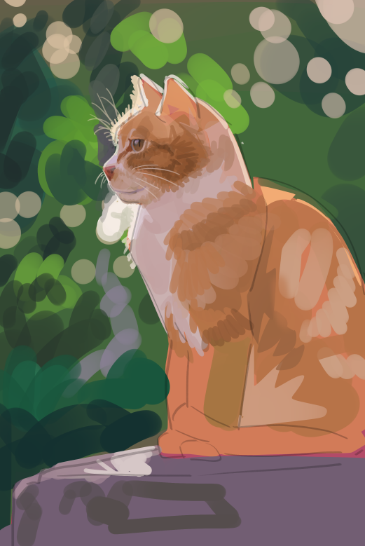 dotr🌤️ tweet media