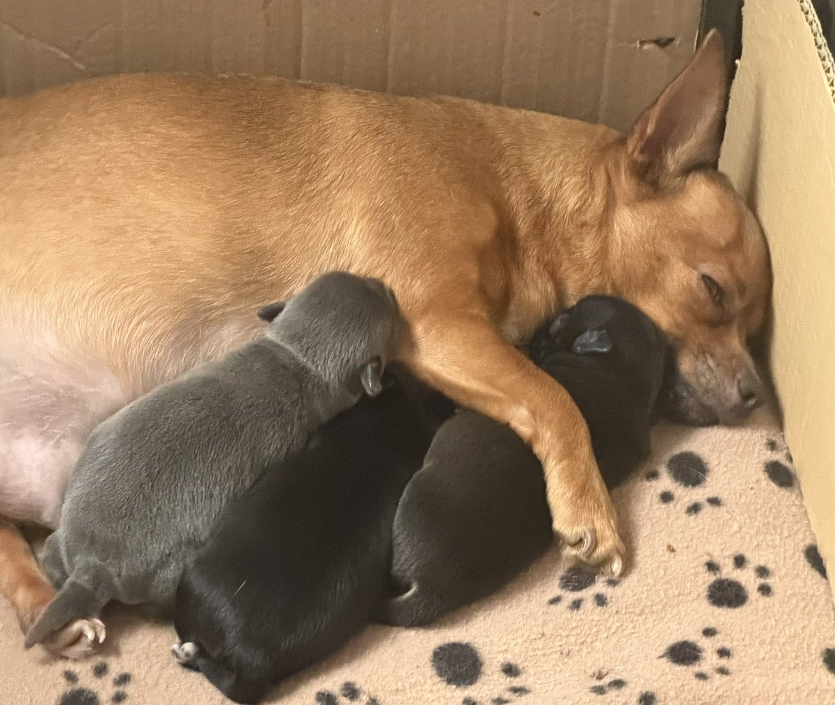 Harry SQWAD tweet media