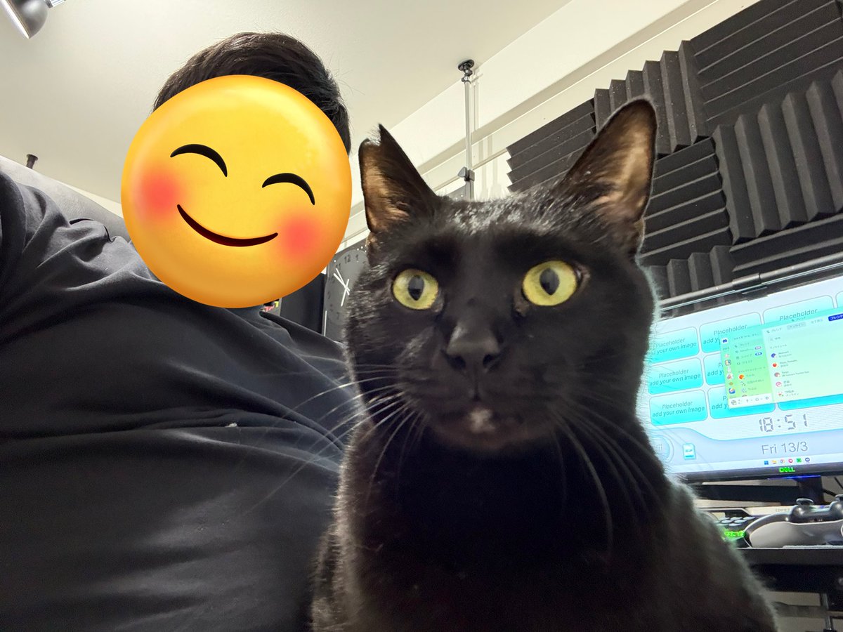 オイオイモ tweet media