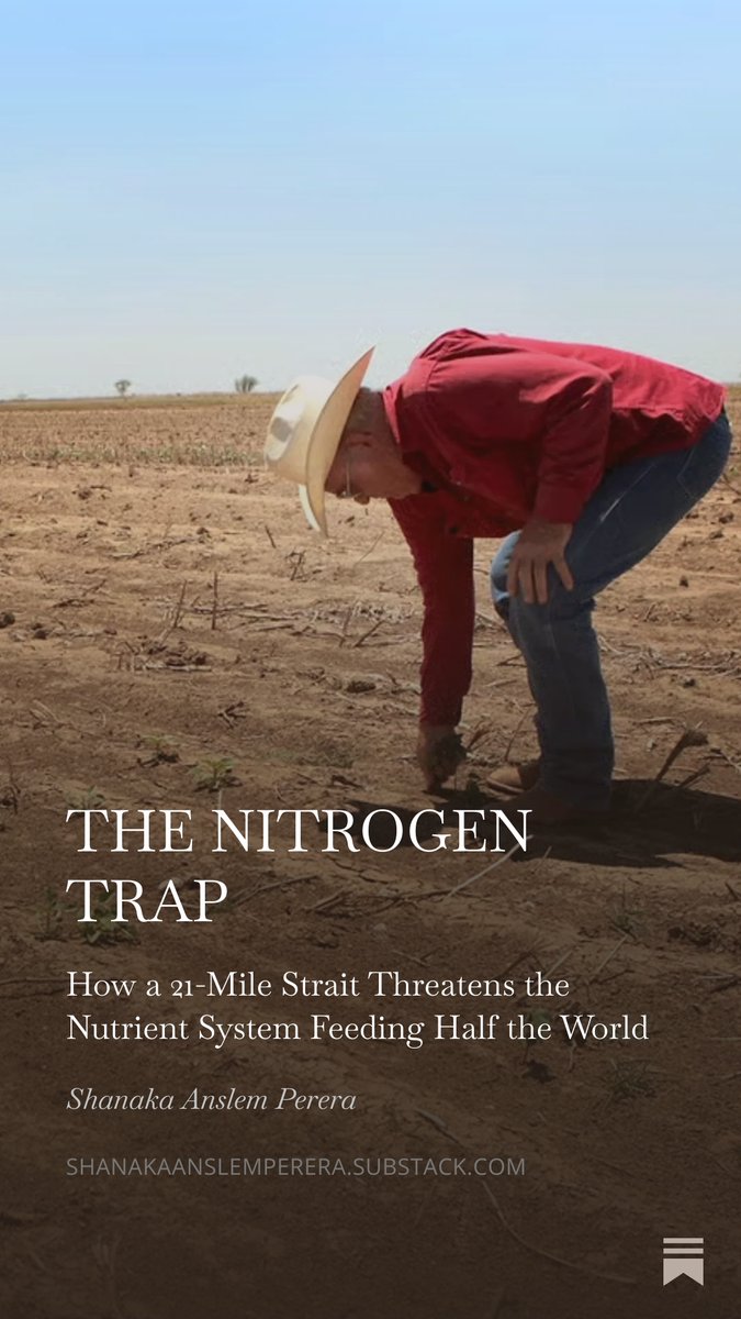 Shanaka Anslem Perera ⚡ tweet media