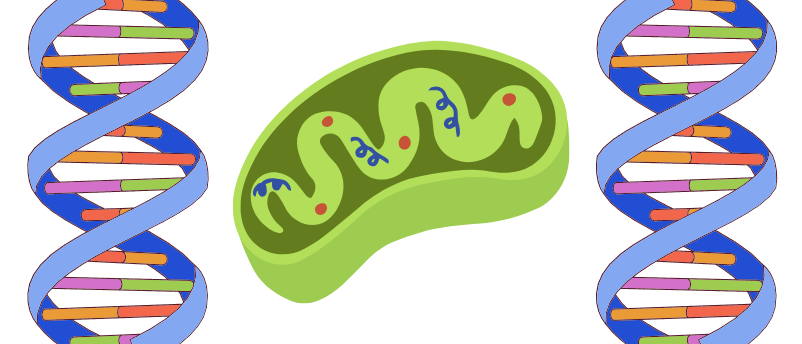 Bioanalysis Zone tweet media