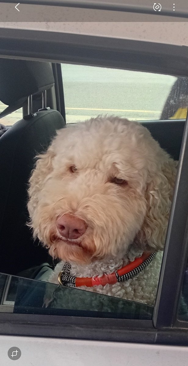 Anthin Dwaine tweet media