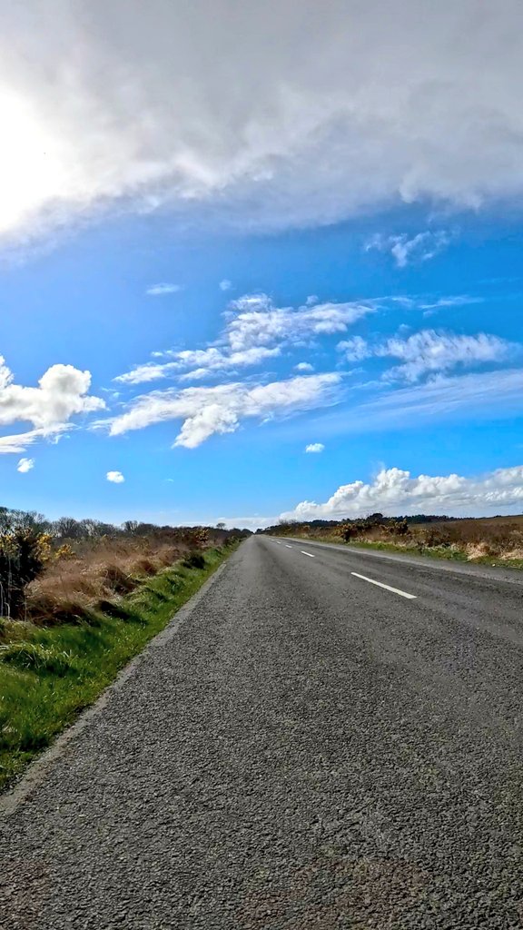 Tim Webster tweet media