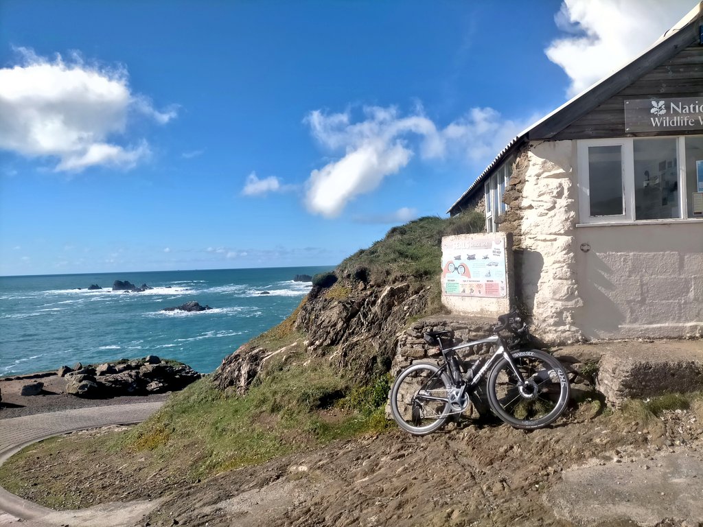 Tim Webster tweet media