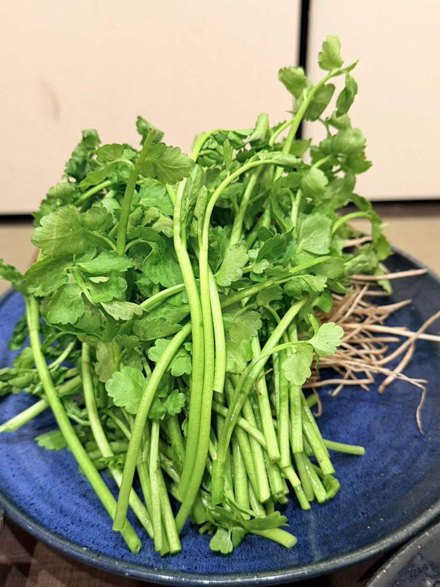 岡本 ナミ tweet media