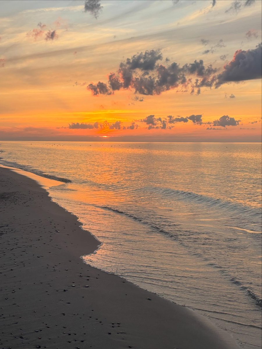 Archillct tweet media