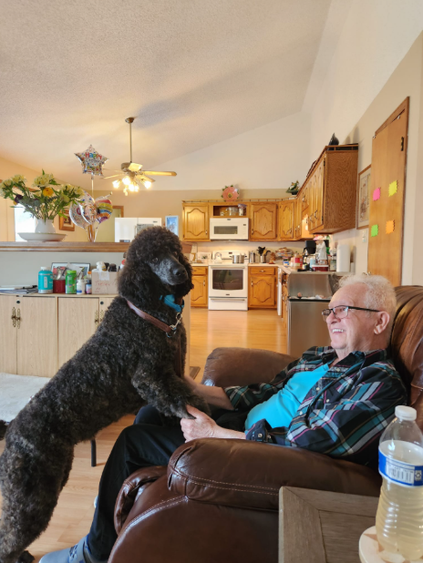 WorkingDogsForVets tweet media