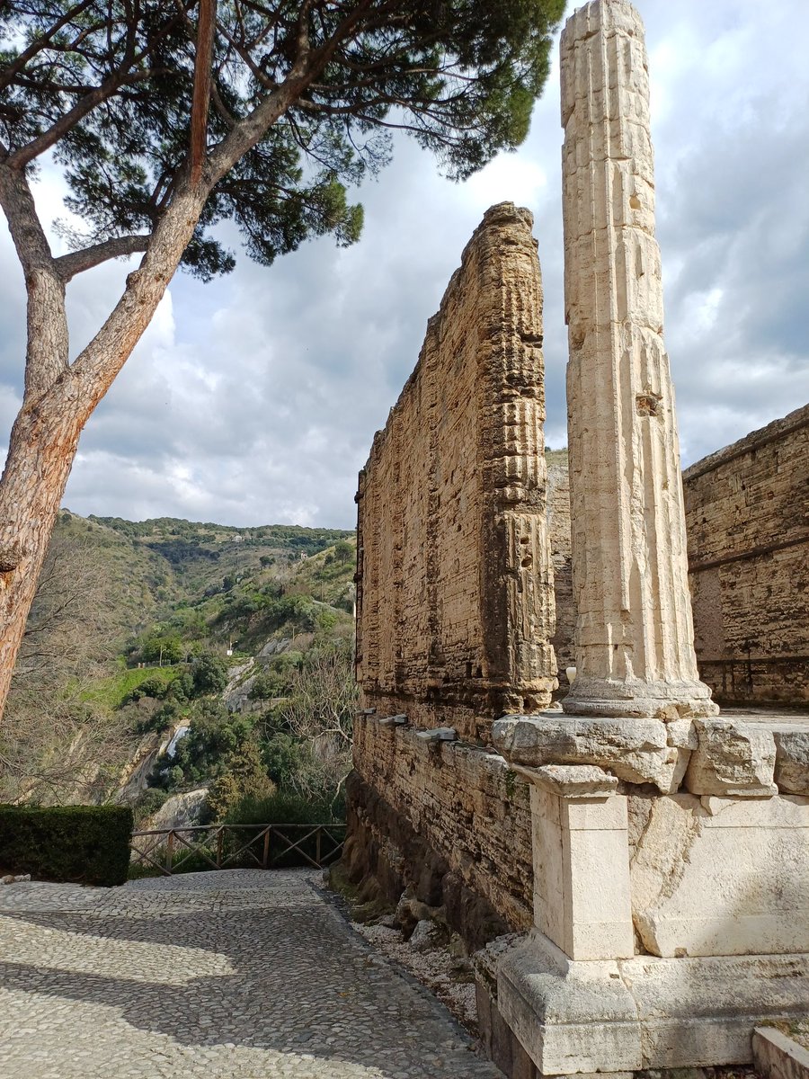 Carob Mill tweet media