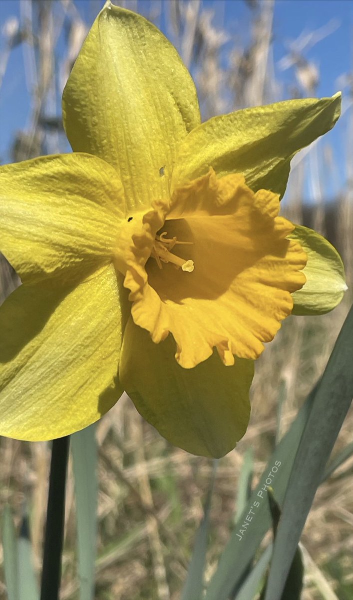 Jan 🌷🌿🦋 tweet media