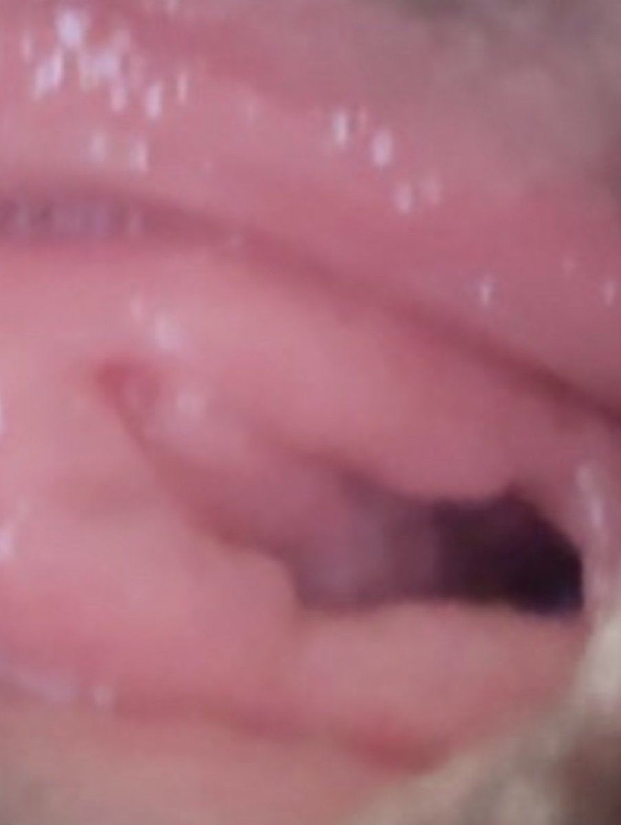 當我愛上一個天使的缺點 tweet media