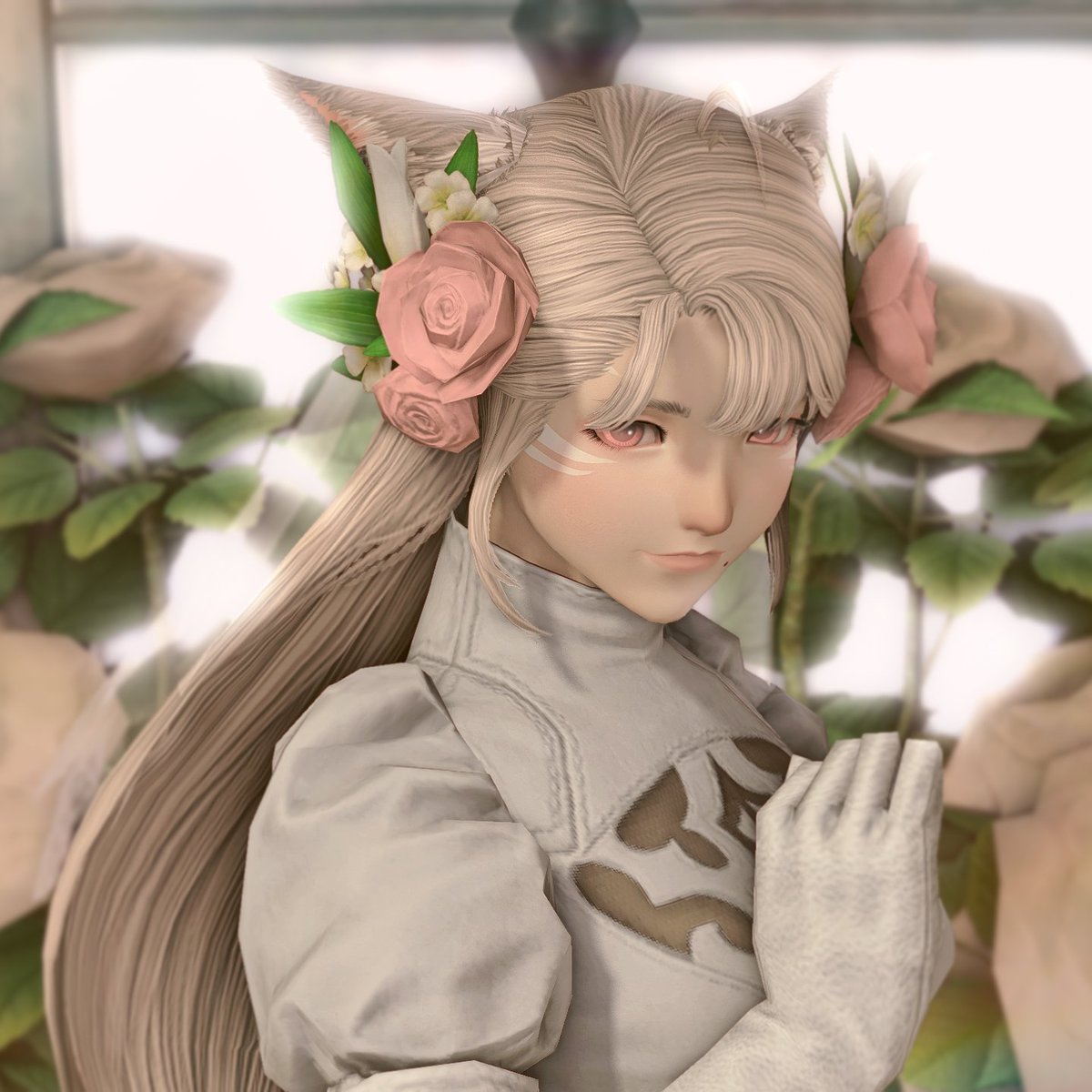 ʚ Cure ɞ tweet media