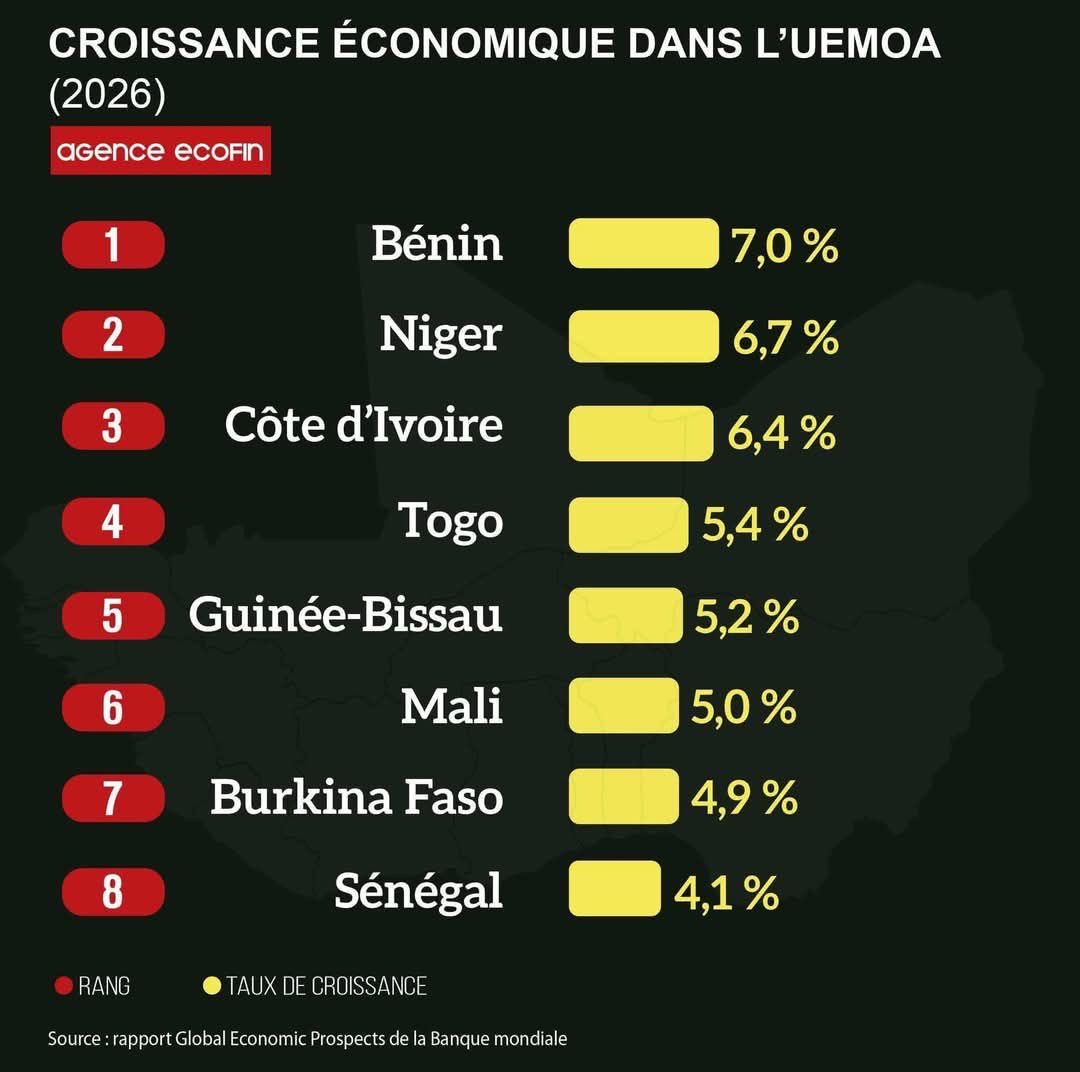 Dr Yoro DIA tweet media